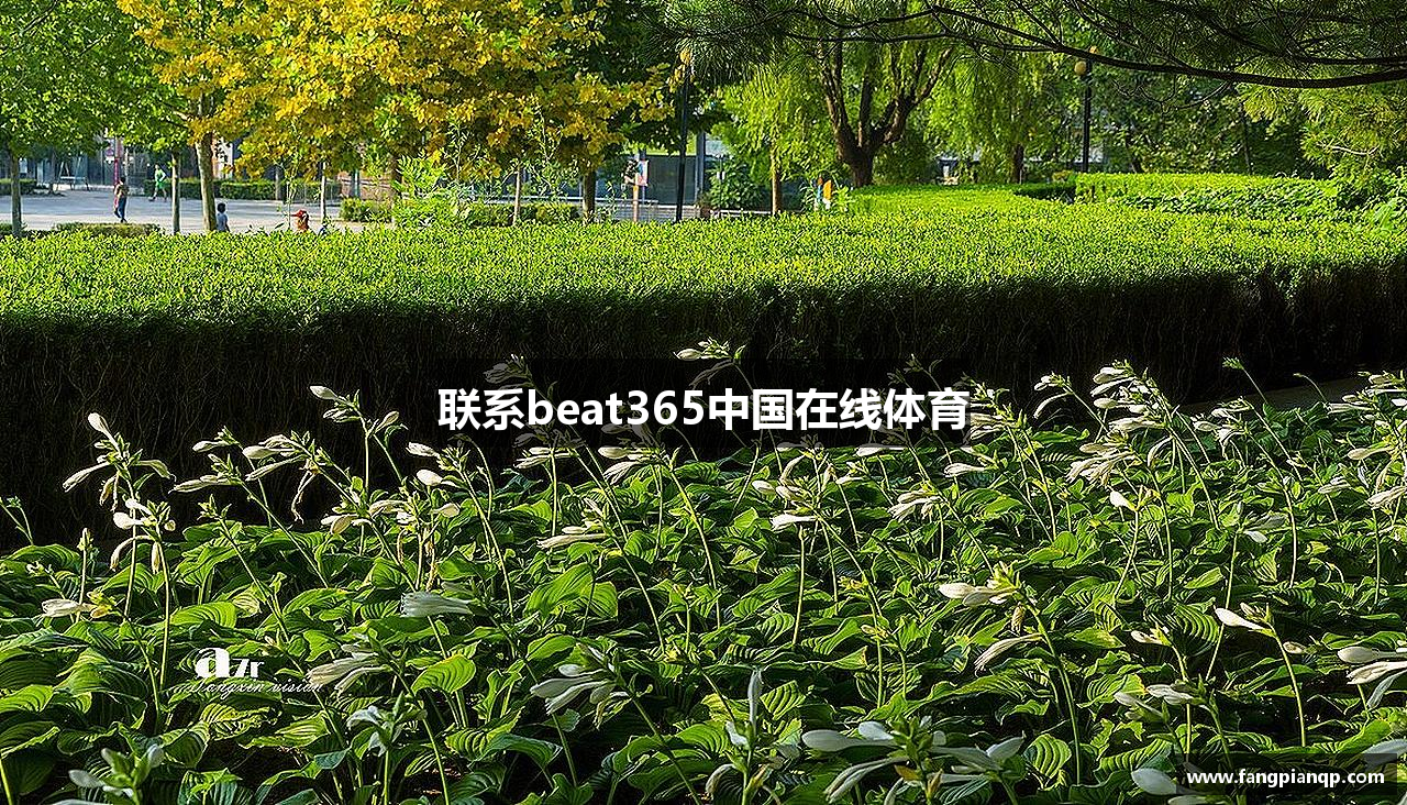 联系beat365中国在线体育